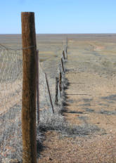 The Dingo Fence 2013 near Coober Pedy